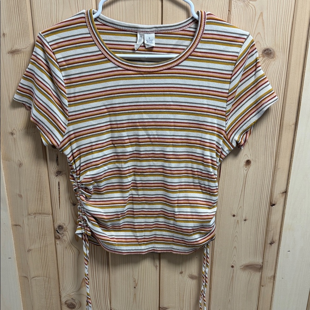 Sky and Sparrow Multicolor Striped Crop Top